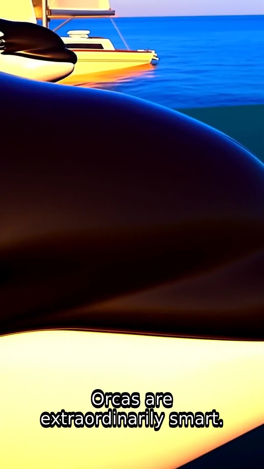 Orcas Are NOT Attacking Boats – Here's What's Really Happening